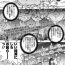 Short [Yagami Dai] Rance 10 -Kessen- Chapter 001- Rance hentai Home