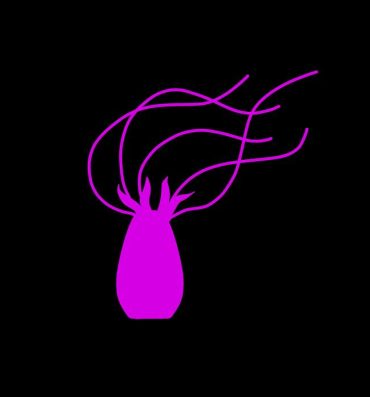 Hardcore Fuck Pink Tentacle Creature- Original hentai Slapping
