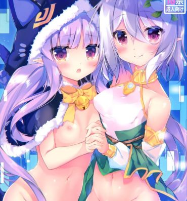 Ddf Porn PRINCESSUKEBEBOOK- Princess connect hentai Sister